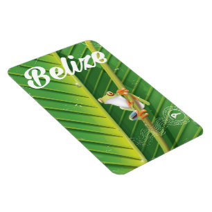 belize Frosch Vintage-Cartoon-Reiseposter Magnet