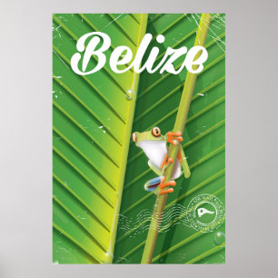 belize Frosch Vintage-Cartoon-Reiseposter Poster