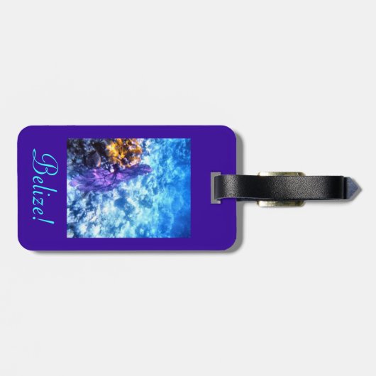 Belize-Gepäckanhänger Gepäckanhänger (Rückseite horizontal)