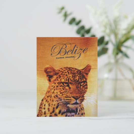 Belize Jaguar Postkarte (Stehend Vorderseite)