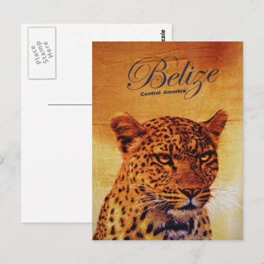 Belize Jaguar Postkarte (Vorne/Hinten)