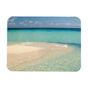 Belize, Karibisches Meer. Goff Caye, eine kleine I Magnet