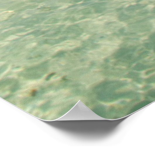 Belize, Karibisches Meer. Goff Caye, eine kleine I Poster (Ecke)