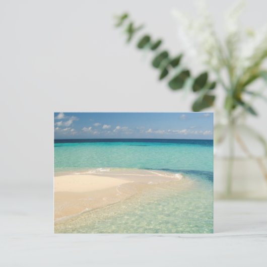 Belize, Karibisches Meer. Goff Caye, eine kleine I Postkarte (Stehend Vorderseite)