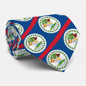 Belize Krawatte, Mode Belizean Flag, Business Krawatte (Gerollt)