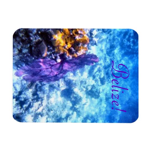 Belize! Lila Fächermagnet Magnet (Horizontal)