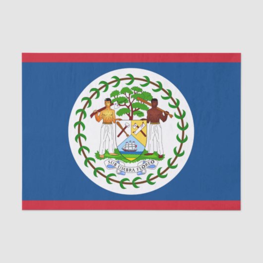 Belize Mode Dekor, Belize Flagge Tissue-Papier Seidenpapier (Vorderseite)