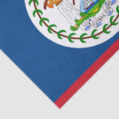 Belize Mode Dekor, Belize Flagge Tissue-Papier Seidenpapier (Ausschnitt)