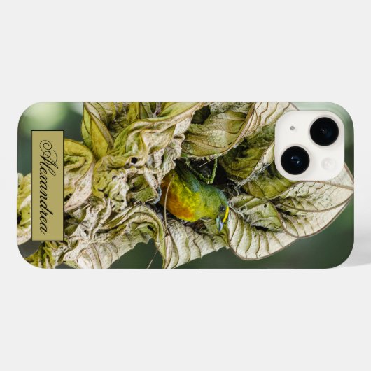 Belize Olive Euphonia Bird Fotografy Case-Mate iPhone Hülle (Rückseite (Horizontal))