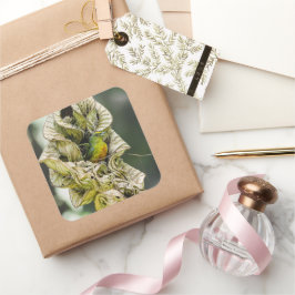 Belize Olive Euphonia Bird Fotografy Quadratischer Aufkleber