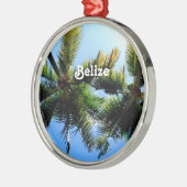 Belize-Palmen Silbernes Ornament (Links)