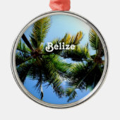 Belize-Palmen Silbernes Ornament (Vorne)