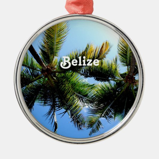 Belize-Palmen Silbernes Ornament (Vorne)