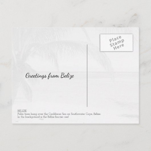 Belize Palmen und Karibik Meer Landschaft Postkarte (Rückseite)