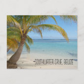 Belize Palmen und Karibik Meer Landschaft Postkarte (Vorderseite)