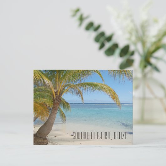 Belize Palmen und Karibik Meer Landschaft Postkarte (Stehend Vorderseite)