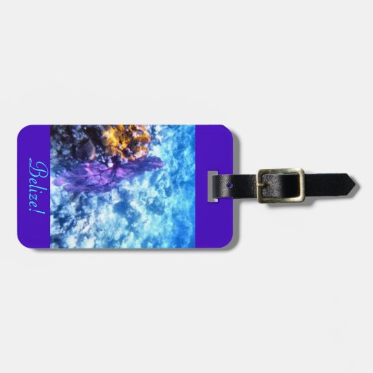 Belize personalisiert gepäckanhänger (Vorderseite horizontal)