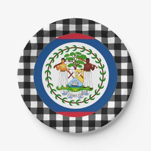 Belize Plate, Büffel kariert & Belize Flag Pappteller (Vorderseite)