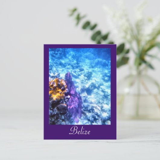 Belize Sea Fan Custom Postcard Postkarte (Stehend Vorderseite)