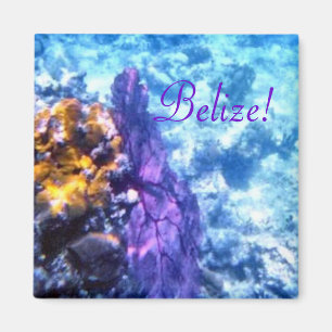 Belize-Seefächer Magnet