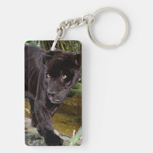 Belize-Stadt-Zoo. Schwarzer Panther Schlüsselanhänger (Rückseite)