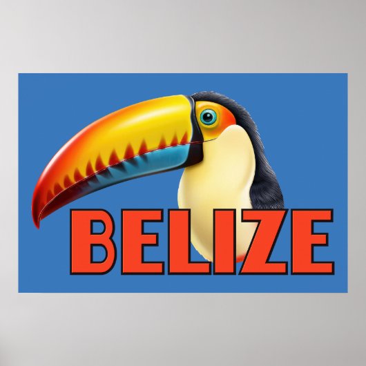BELIZE Toucan Poster (Vorne)