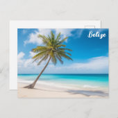 Belize Tropical Beach Palm Tree Ambergris Caye Postkarte (Vorne/Hinten)