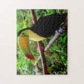 Belize Tucon Vögel. Puzzle (Vertikal)