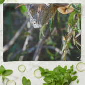 Belize Wildlife: Orange Iguana Lizard Fotografie Geschirrtuch (Gefaltet)