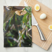 Belize Wildlife: Orange Iguana Lizard Fotografie Geschirrtuch (Viertel Falte)