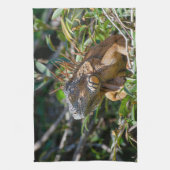 Belize Wildlife: Orange Iguana Lizard Fotografie Geschirrtuch (Vertikal)