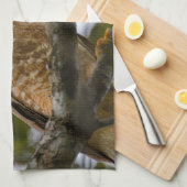 Belize Wildlife: Roadside Hawk Fotografie Geschirrtuch (Viertel Falte)