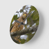 Belizean Beauty: Roadside Hawk Foto Runde Wanduhr (Winkel)