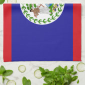 Belizische Flagge Geschirrtuch (Gefaltet)