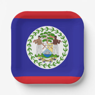 Belizische Flagge Pappteller