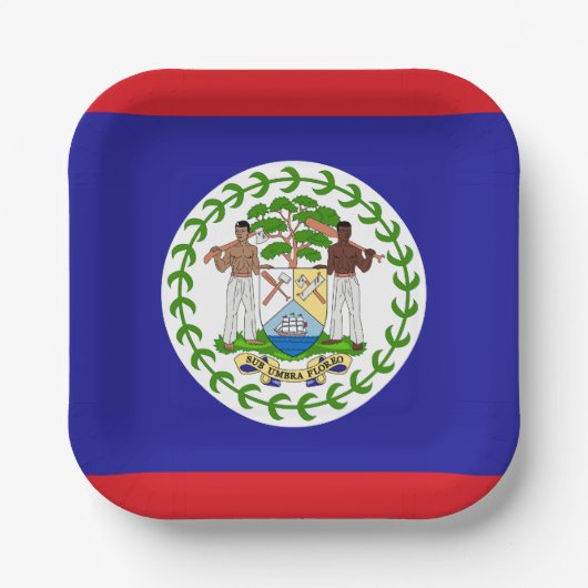 Belizische Flagge Pappteller (Vorderseite)