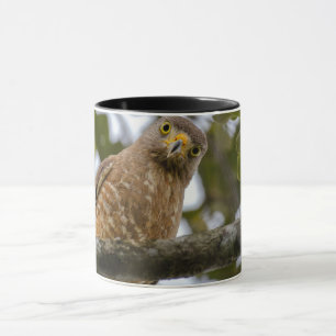 Belizische Roadside Hawk Fotografie Tasse