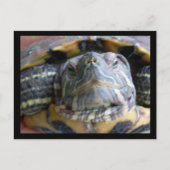 Belka nah postkarte (Vorderseite)