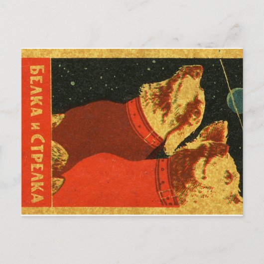 Belka und Strelka Postkarte (Vorderseite)
