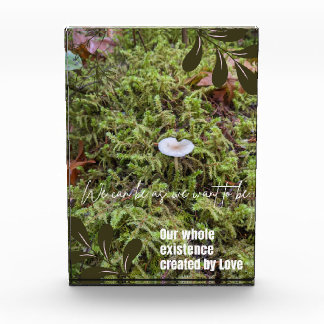 Belknap Mushroom mit Angebot Fotoblock