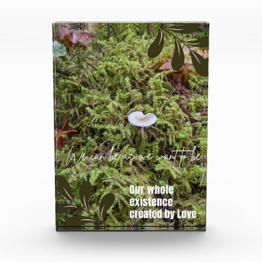 Belknap Mushroom mit Angebot Fotoblock (Vorderseite)