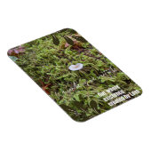 Belknap Mushroom mit Angebot Magnet (Rechte Seite)