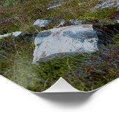 Bell Island Neufundland Poster (Ecke)