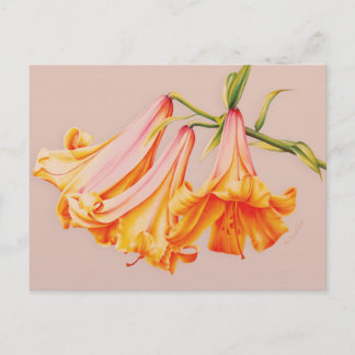 Bell lickt schöne Kunst von Sarah Trett Postcard Postkarte
