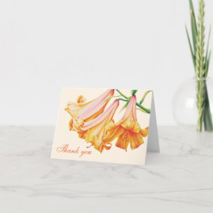 Bell Orange lily botanic art danke