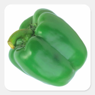 BELL PEPPER (GRÜNE) QUADRATISCHER AUFKLEBER