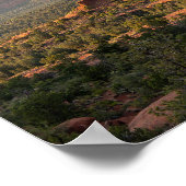 Bell Rock Sunset Poster (Ecke)