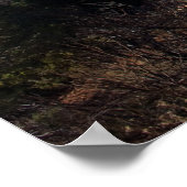 Bell Rock Trail 2065 Poster (Ecke)