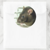 Bell the Rat Stickers (Tasche)