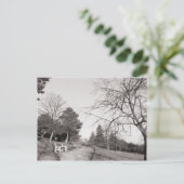 Bell Vue Park, Newport, Mon Postkarte (Stehend Vorderseite)